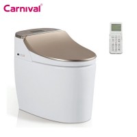 Sanitary ware fashion design smart toilet set automatic self clean toilet SG-1115